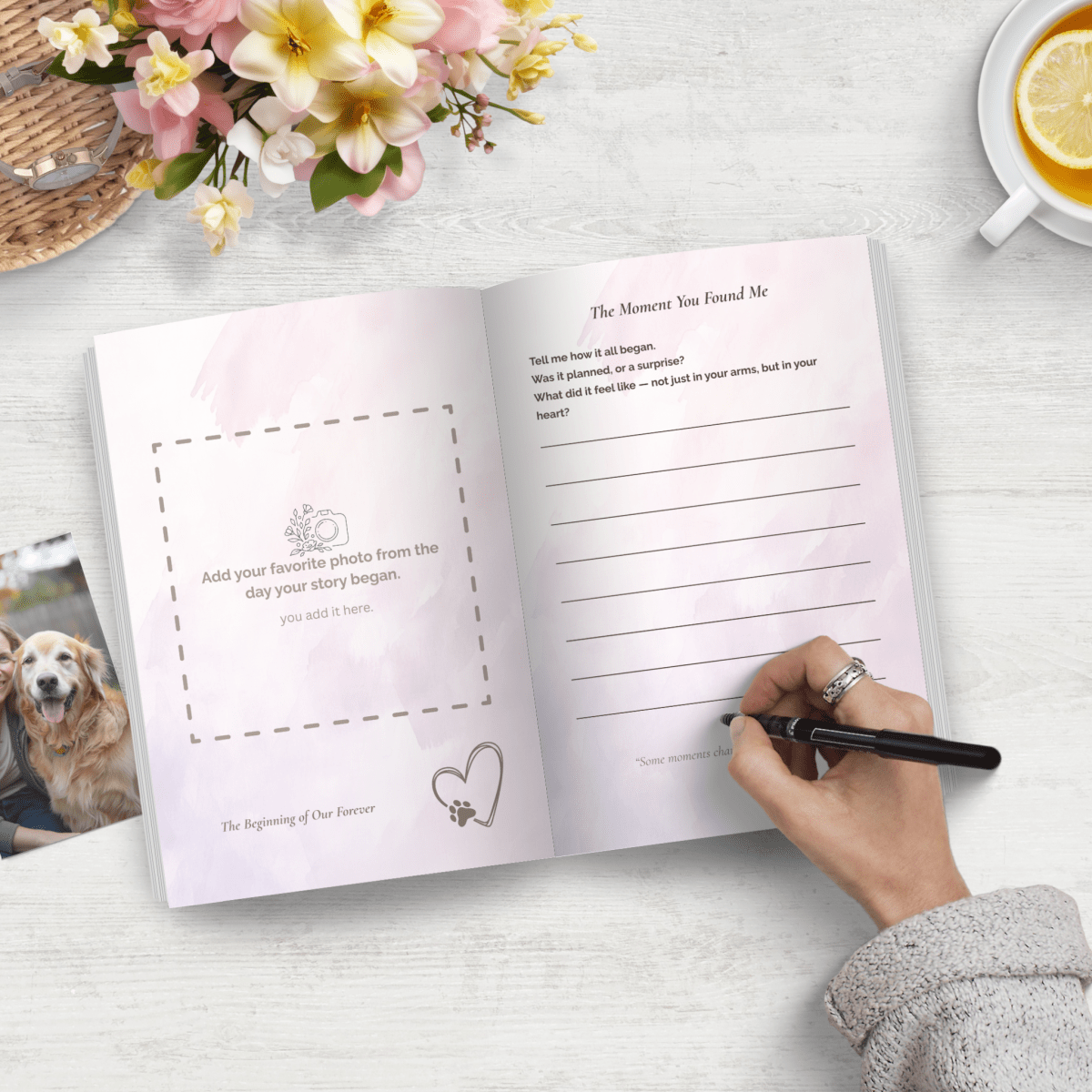 The Golden Years Journal – Celebrate Your Dog’s Life